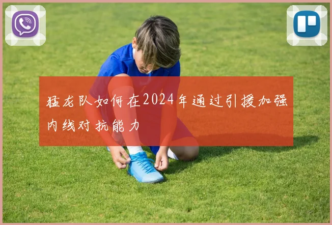 猛龙队如何在2024年通过引援加强内线对抗能力