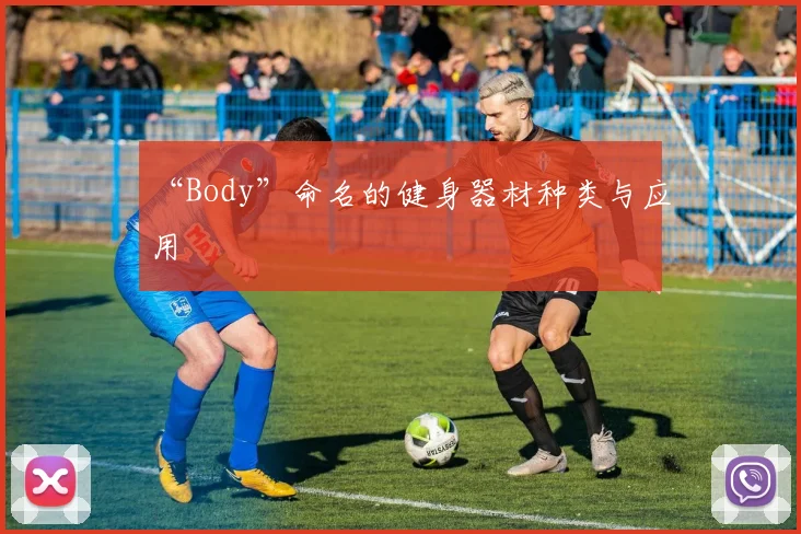 “Body”命名的健身器材种类与应用