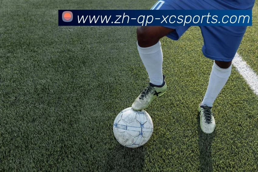 杏彩体育发展历程