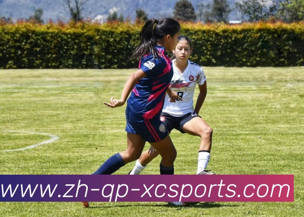 中国足球队与CBA比赛安排：跨界合作与比赛分析